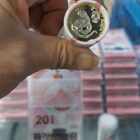 其他普通金属蛇整卷