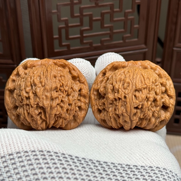 精选老树粗楞南疆石，边47肚44高39，山地老树球疆精配全品一物一图