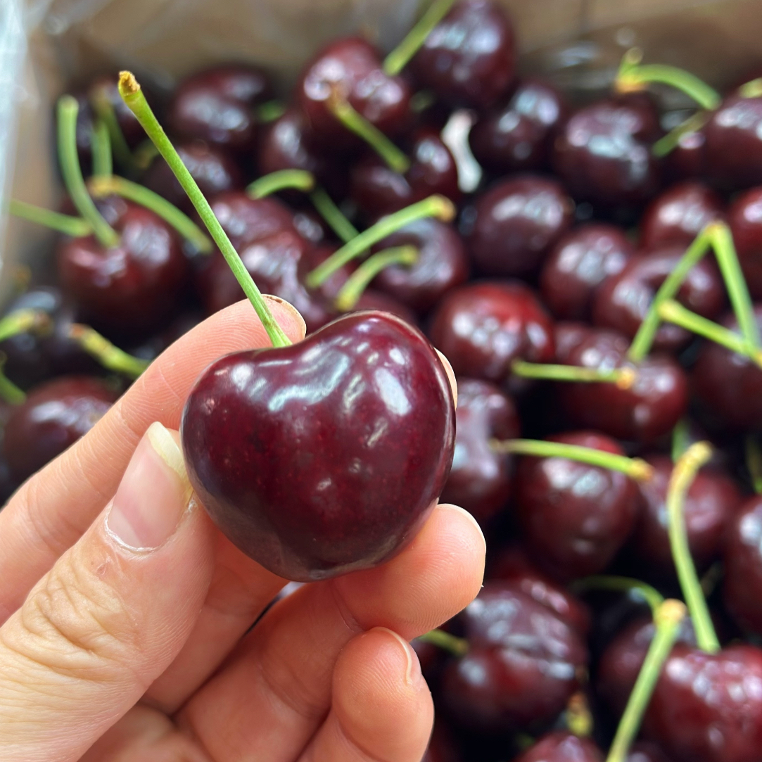 【青白江同城配送】智利海运JJJ车厘子177/5斤净重（原件是否开件检查请备注，未备注默认不开件检查配送）智利