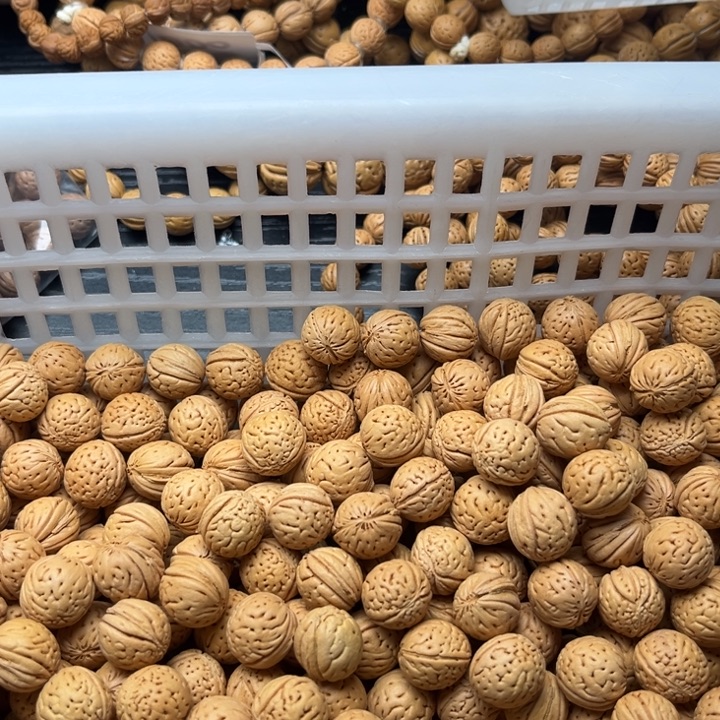 混***民手串文玩核桃小桃核散籽批发