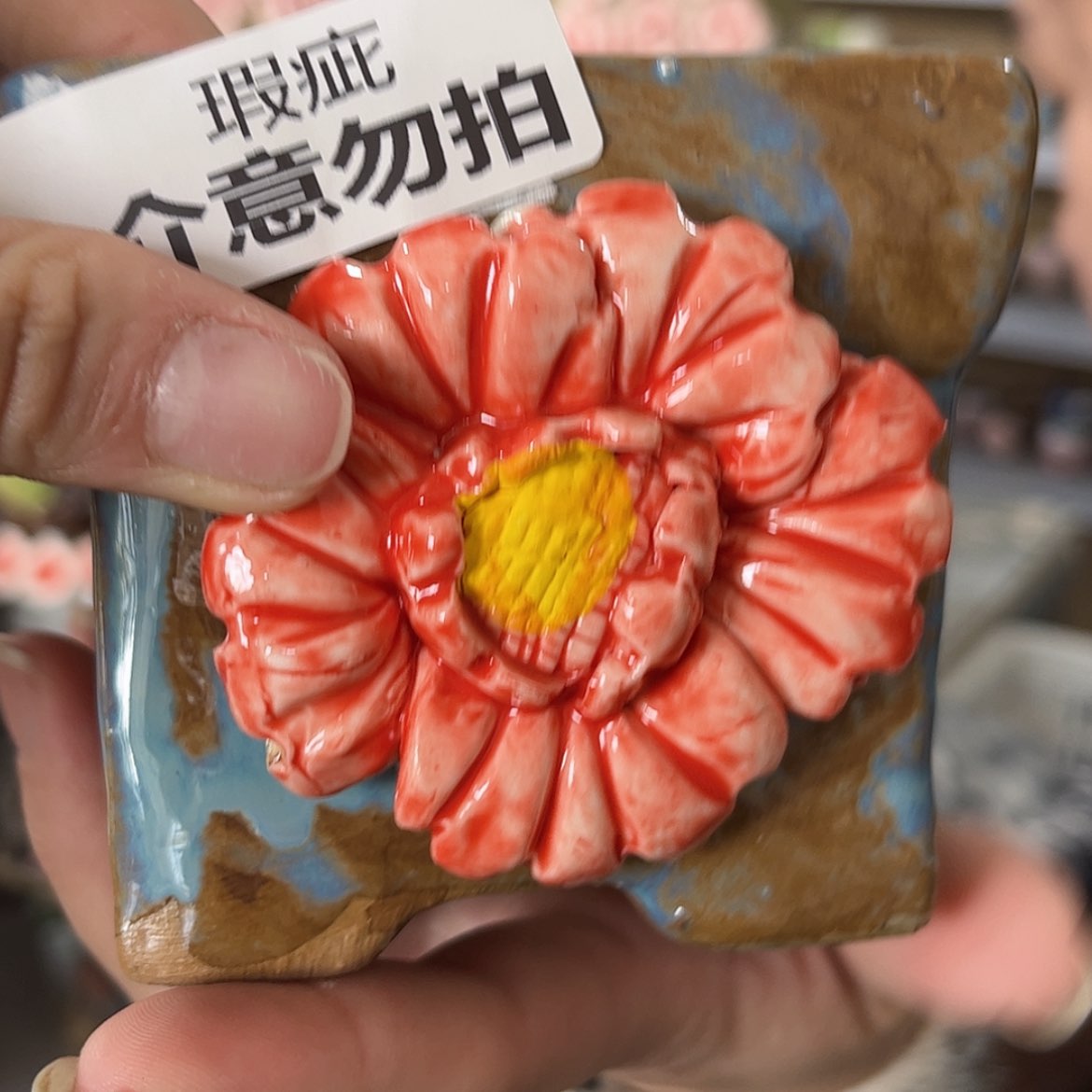 【闪购商品】红陶福利