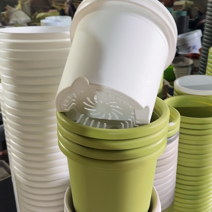 微瑕5#口径29果绿5个无托