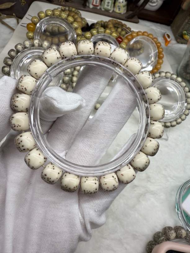 卡10灰背河豚留白干净