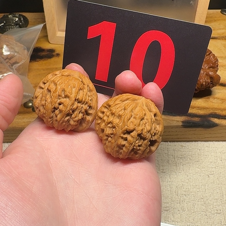 文玩麻核桃37尺寸白狮子10
