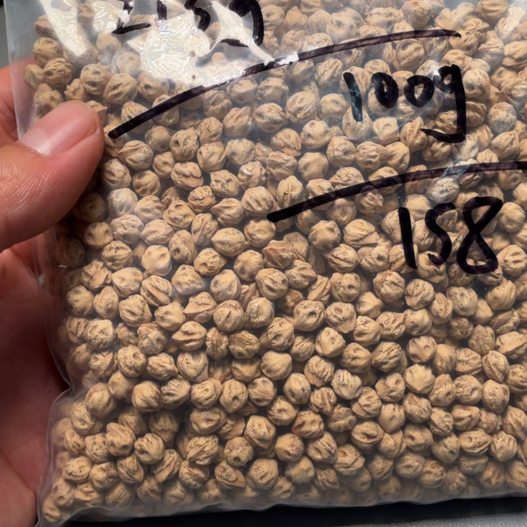 吊坠柏香籽/百香籽J****D