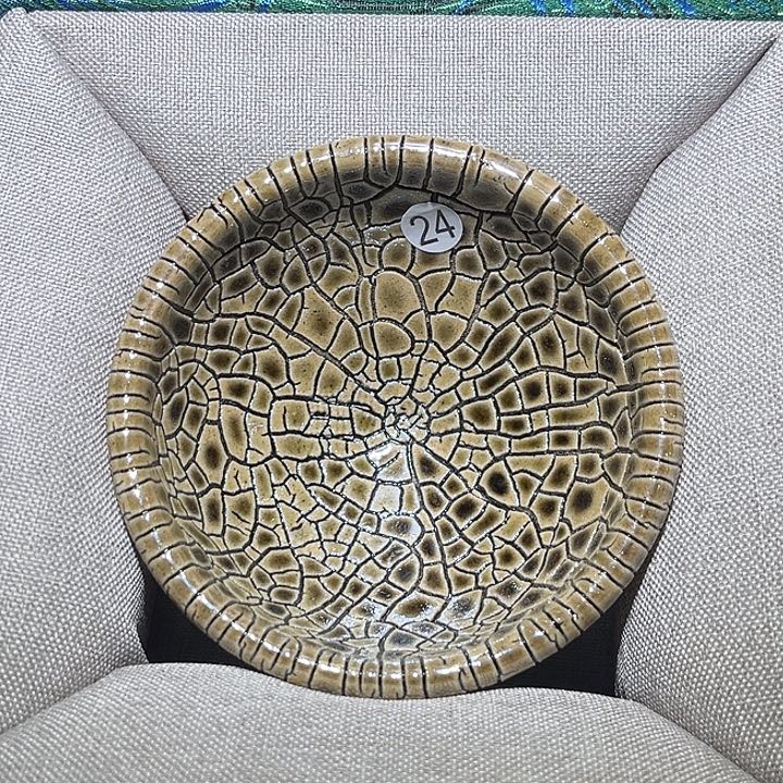 茶盏乐乐乐乐乐乐乐乐乐乐