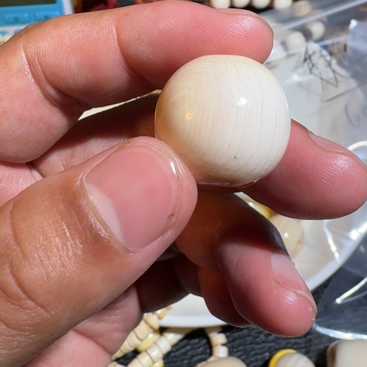 用***0吊坠菩提根/象牙果