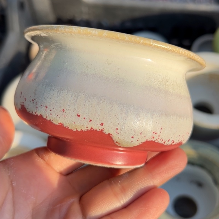 特价花盆 满50发货 内口6