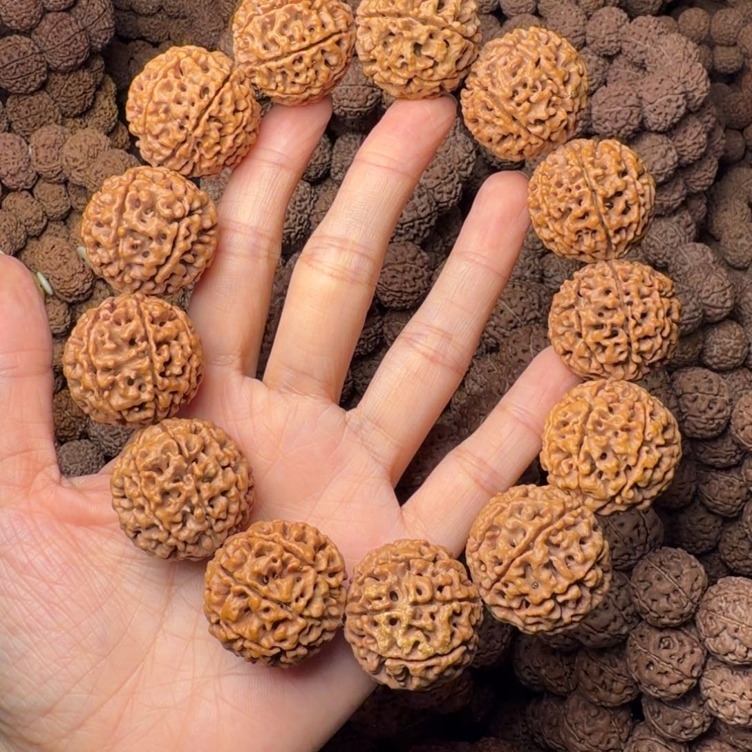 金刚菩提手串8瓣卡27尺，7号