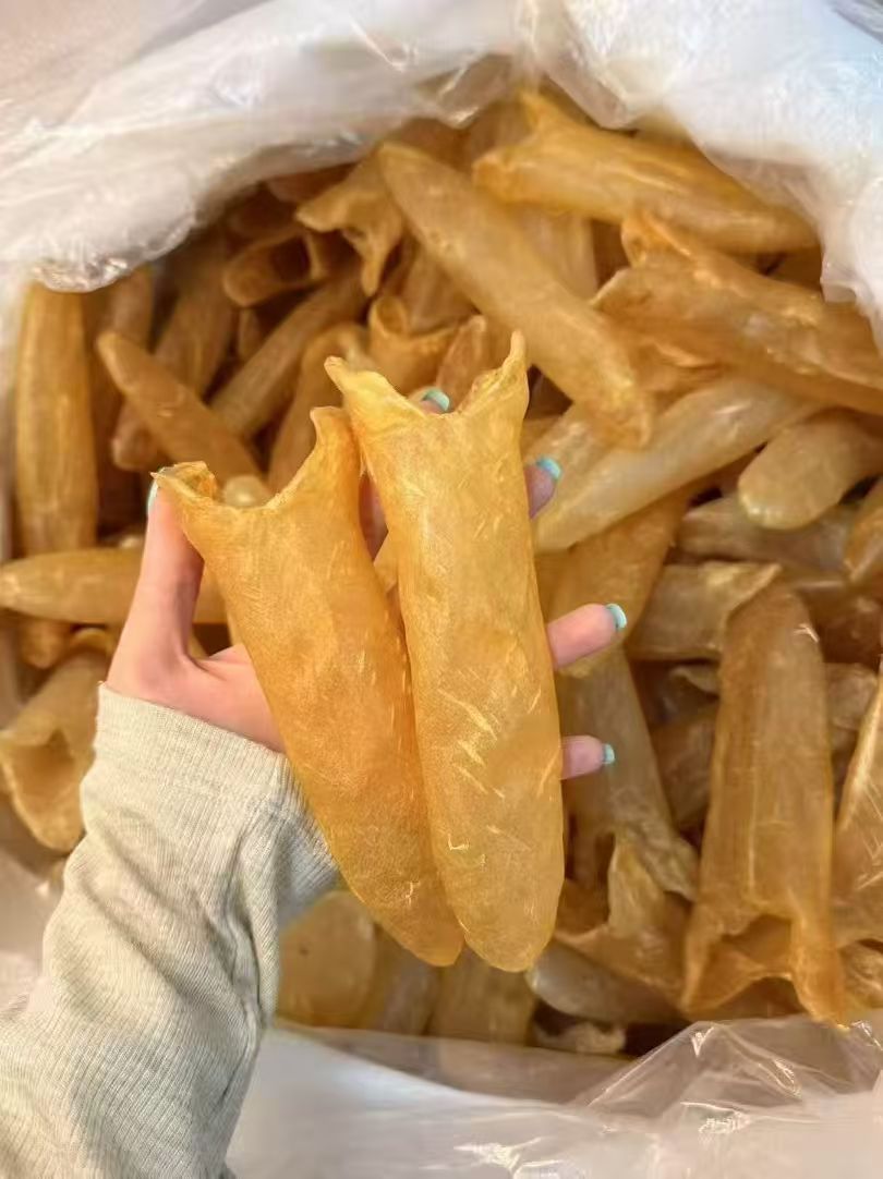 直播间 潮胶乐 精选黄花胶35头 野生 足干 老货