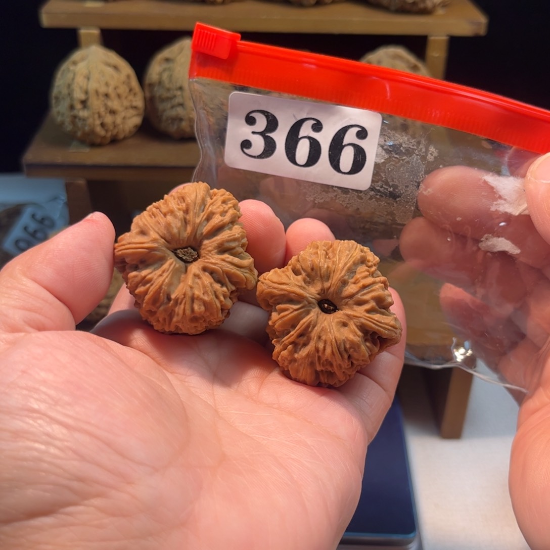 吊坠文玩核桃高炮凹底37