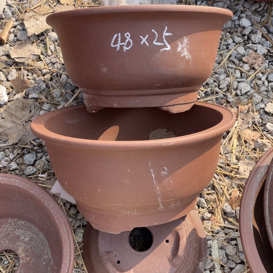 紫砂1**548-25 俩支 圆盆