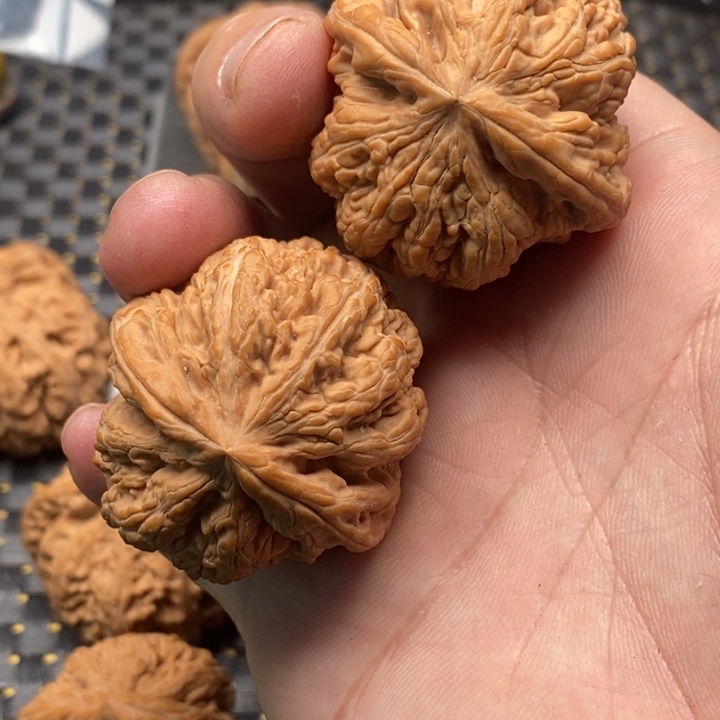 文玩核桃吊坠2****好粗筋