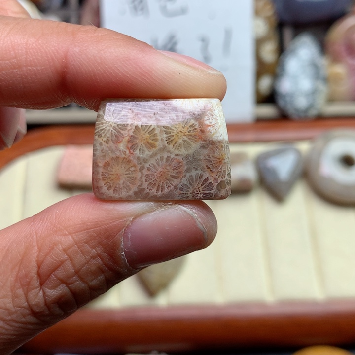 硅化珊瑚（珊瑚玉）颈饰未镶嵌