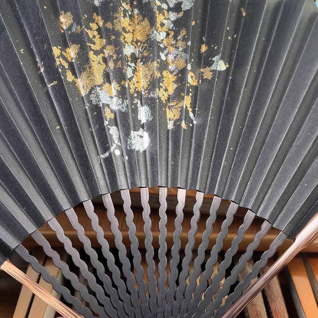扇子爆炸金龙鳞棕竹