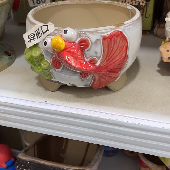 粗陶材质多肉花盆