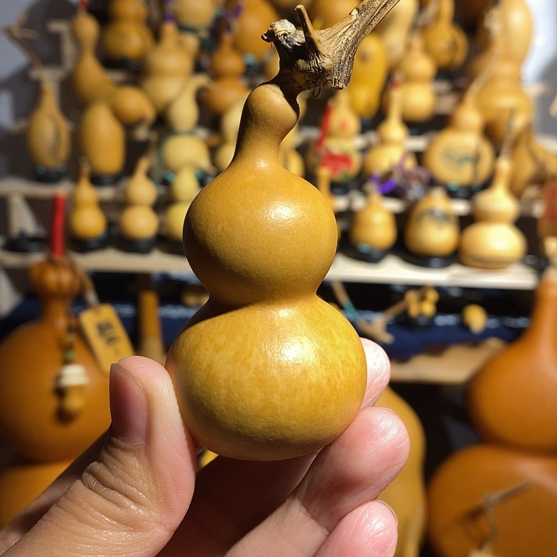 八宝的四六肚是什么意思啊我