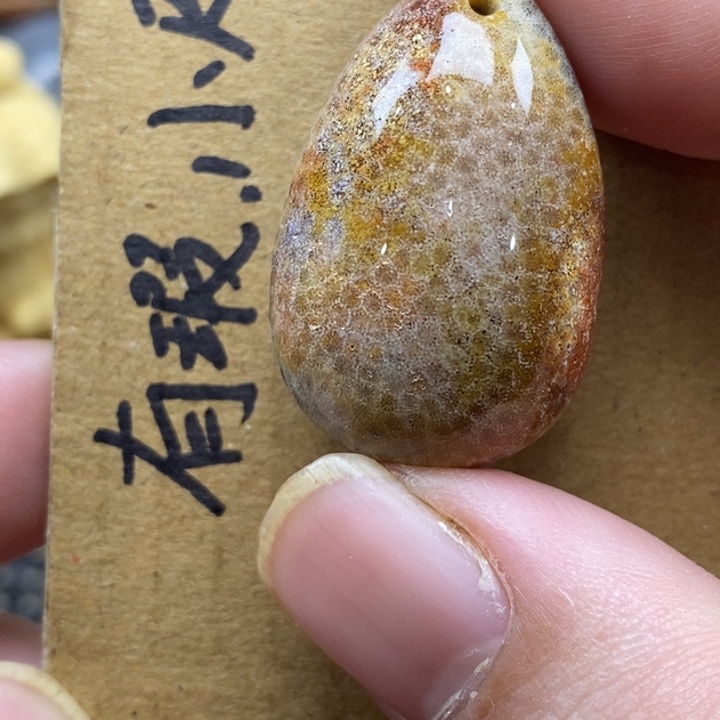 硅化珊瑚（珊瑚玉）未镶嵌颈饰