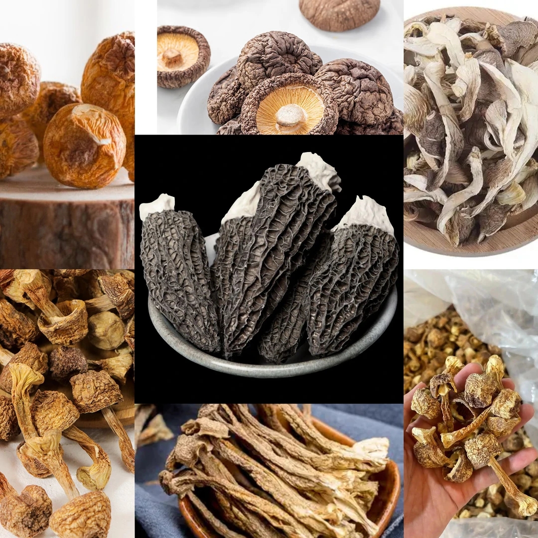 【土特产菌/阿龙专属47】重量32g