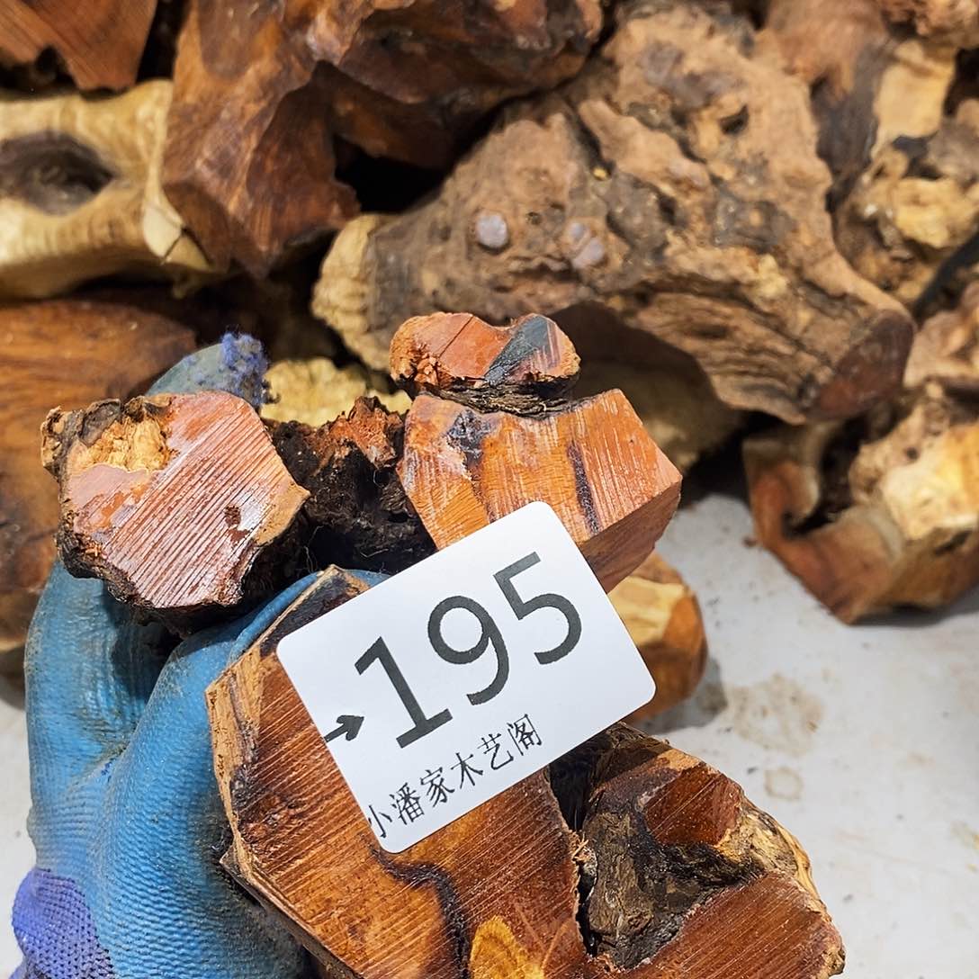 香榧木沃*火琉璃……火琉璃两个