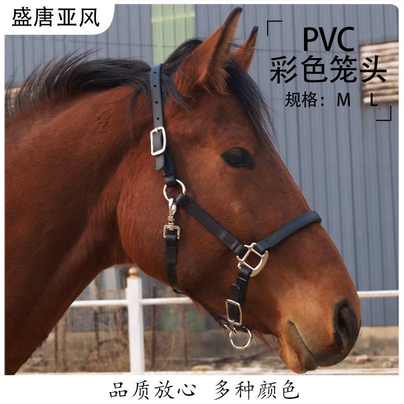 PVC彩色笼头马术用品牵马笼头可调节耐磨大小矮马龙头
