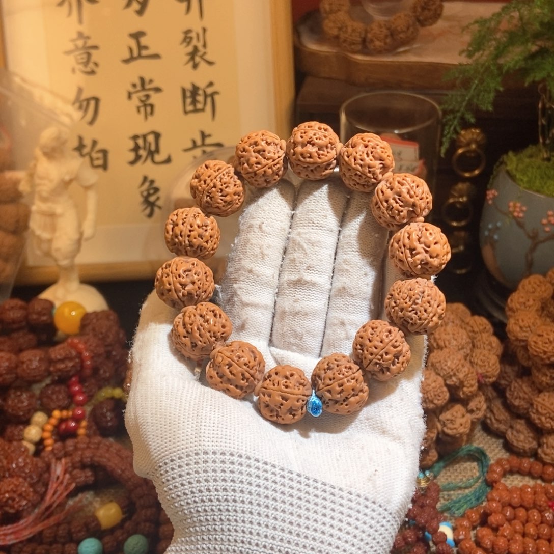 金刚菩提吊坠205原籽