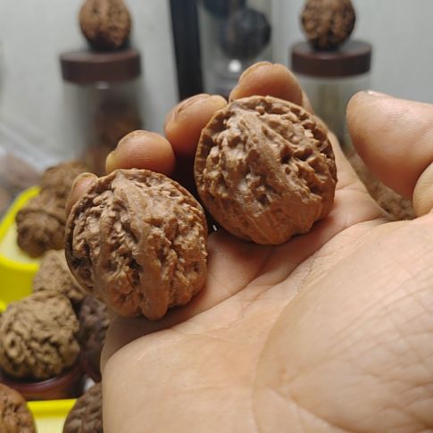 文玩核桃把件东北野生文玩核桃