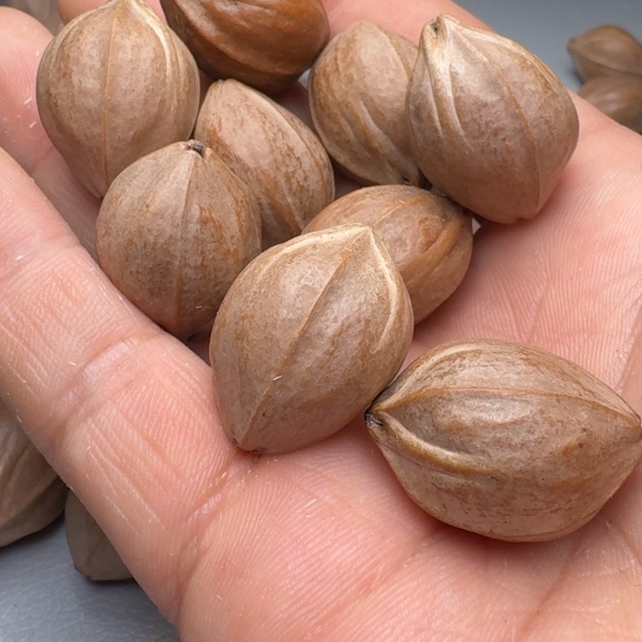 橄榄核手串陆***茶橄榄核666