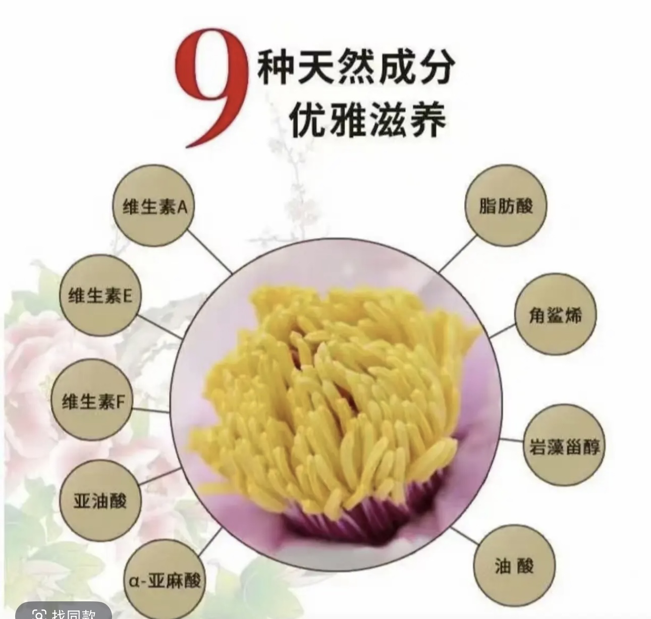 小黄土特产：新货头茬《黄金蕊》瓶子包装