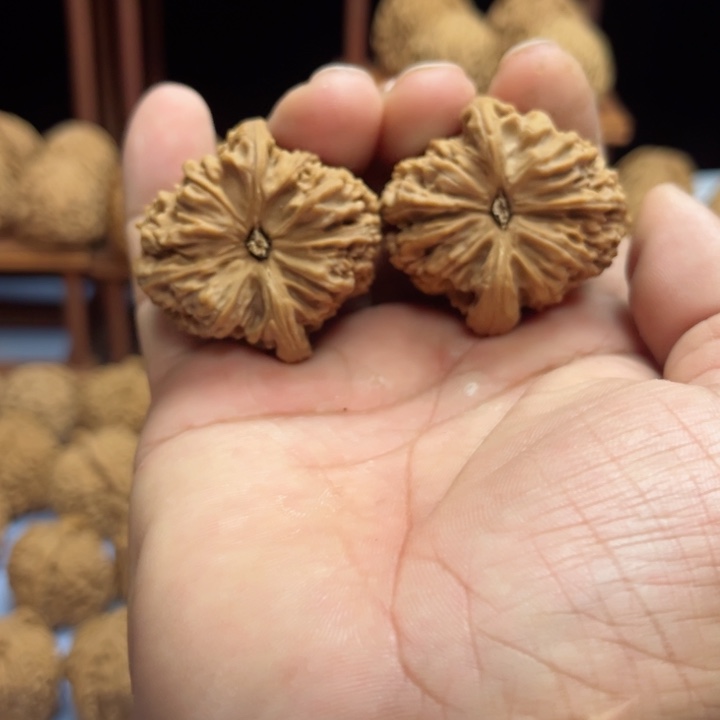 完全开放l****w南疆石