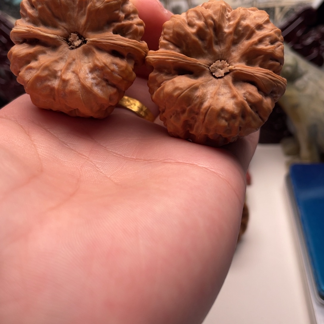 ****耳核桃蛤蟆头文玩C05