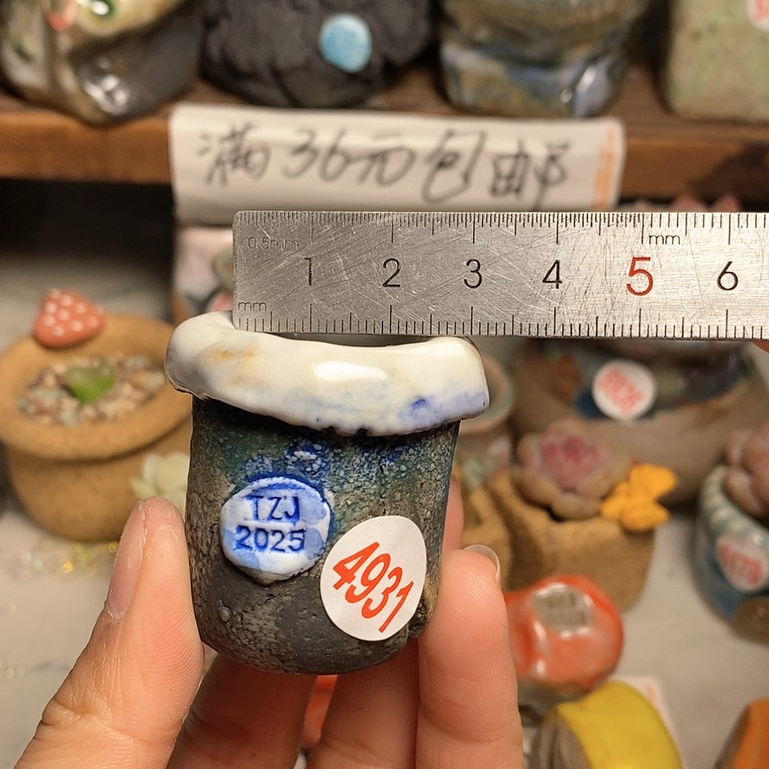 红陶拍5送一个小