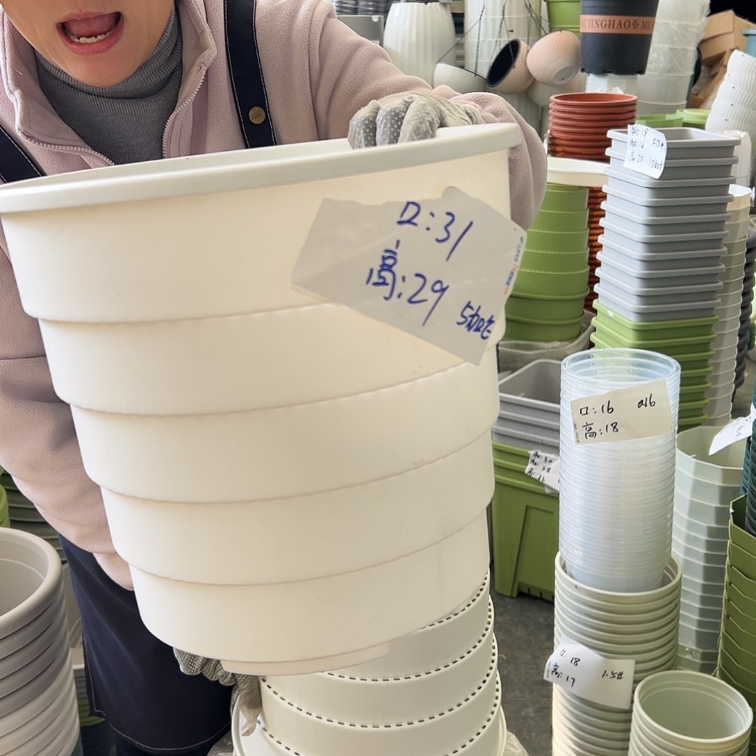 多孔5#白色3个无托