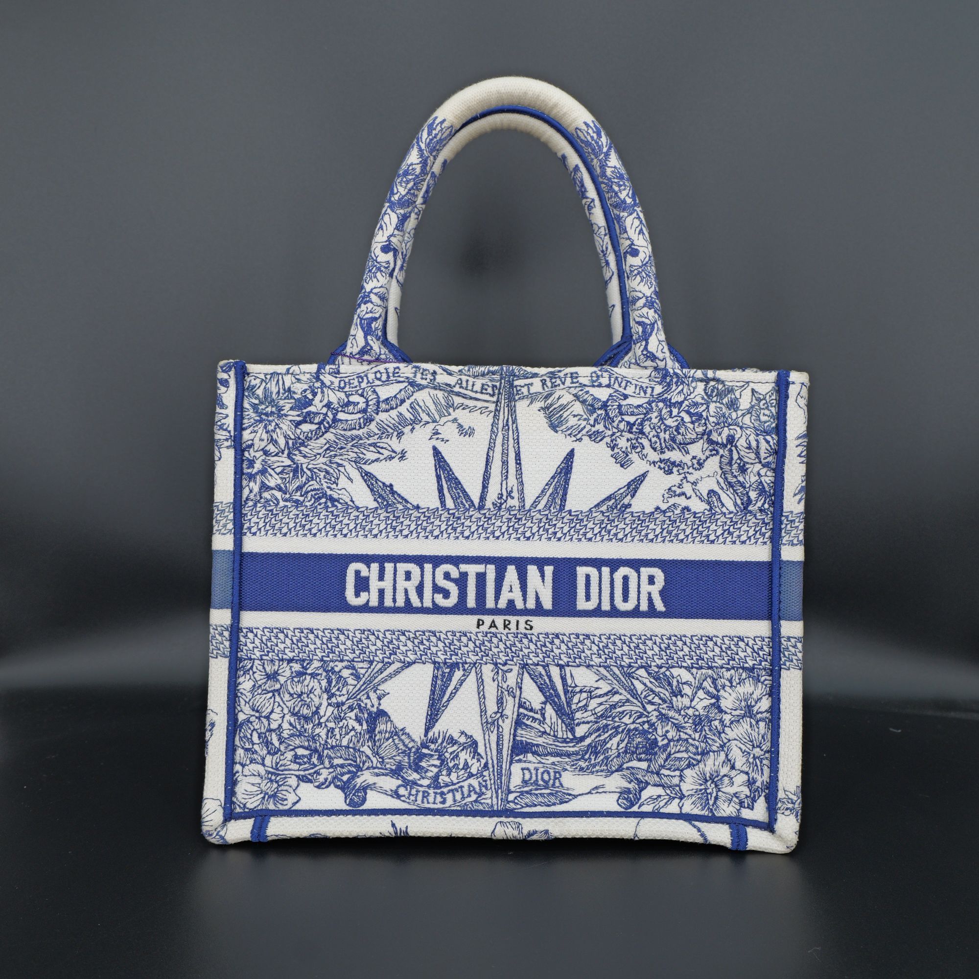 99新 DIOR/迪奥 （22年）老花满印星图案新小号托特包