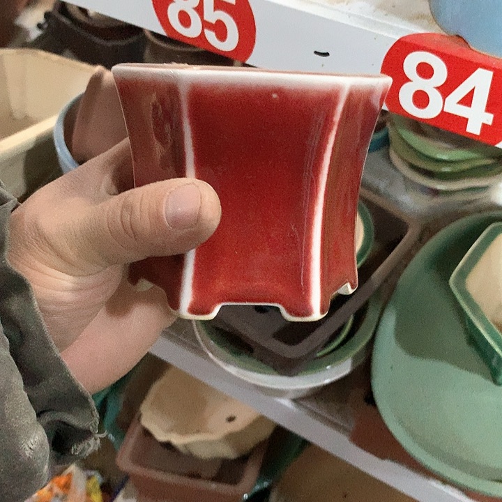 紫砂哈哈真的是太给力太火爆了