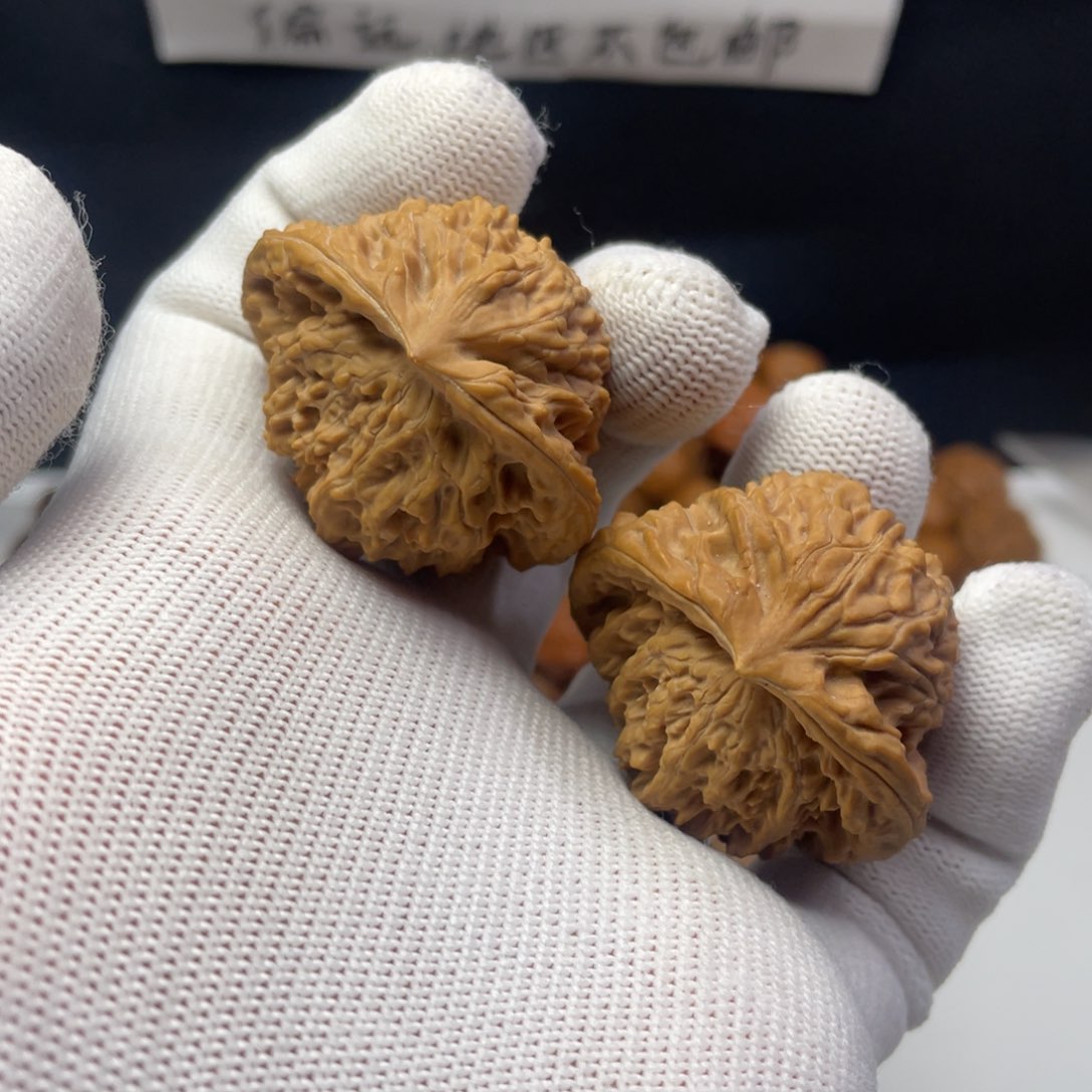 文玩核桃把件40盘龙虎蛇头全品无修