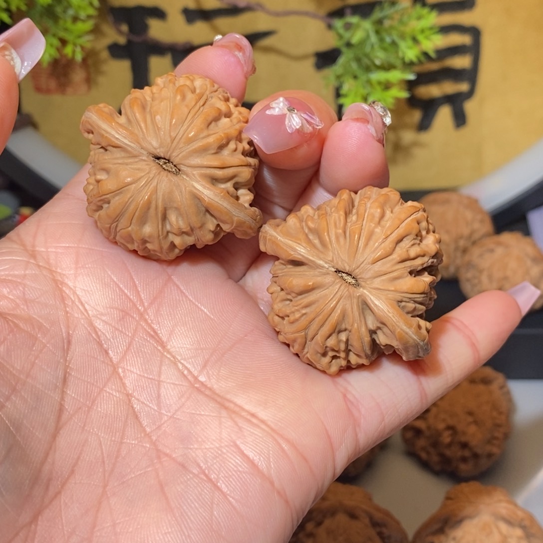 核桃手串/手链c*i汉高楼全品