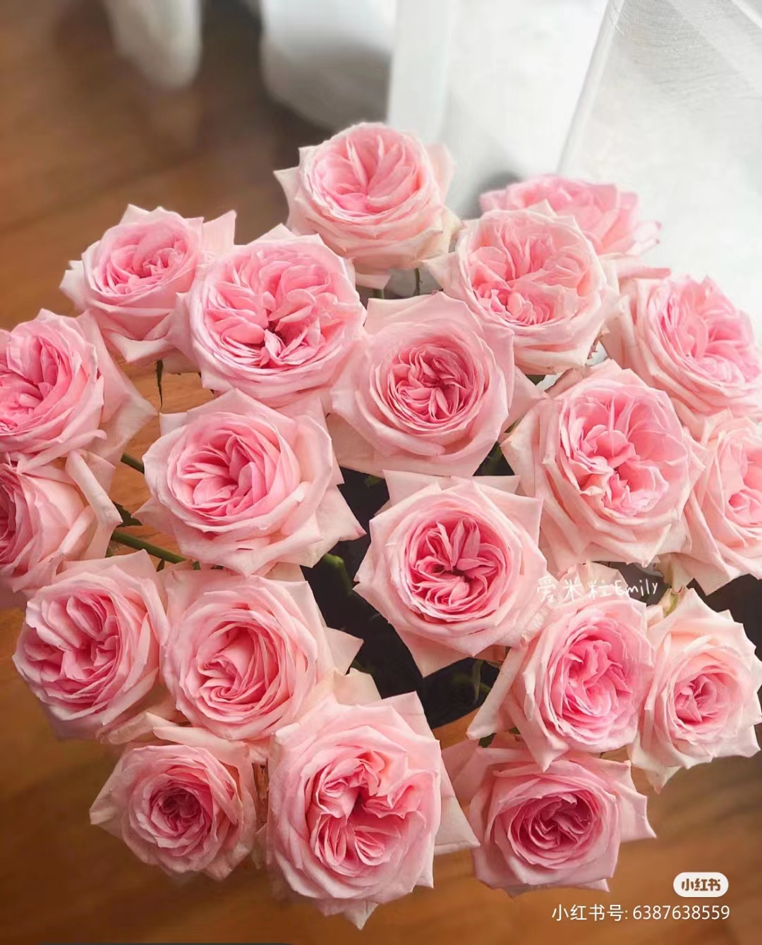 粉荔枝玫瑰【收到花一定要醒花，不会的请联系客服】