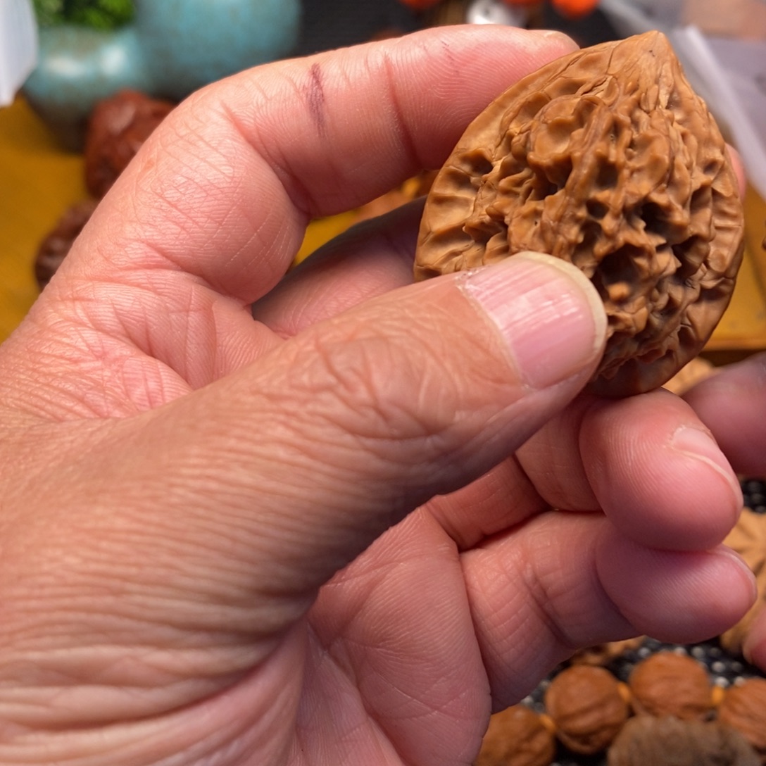 鹦***囡秦岭森林茂密和植被覆盖