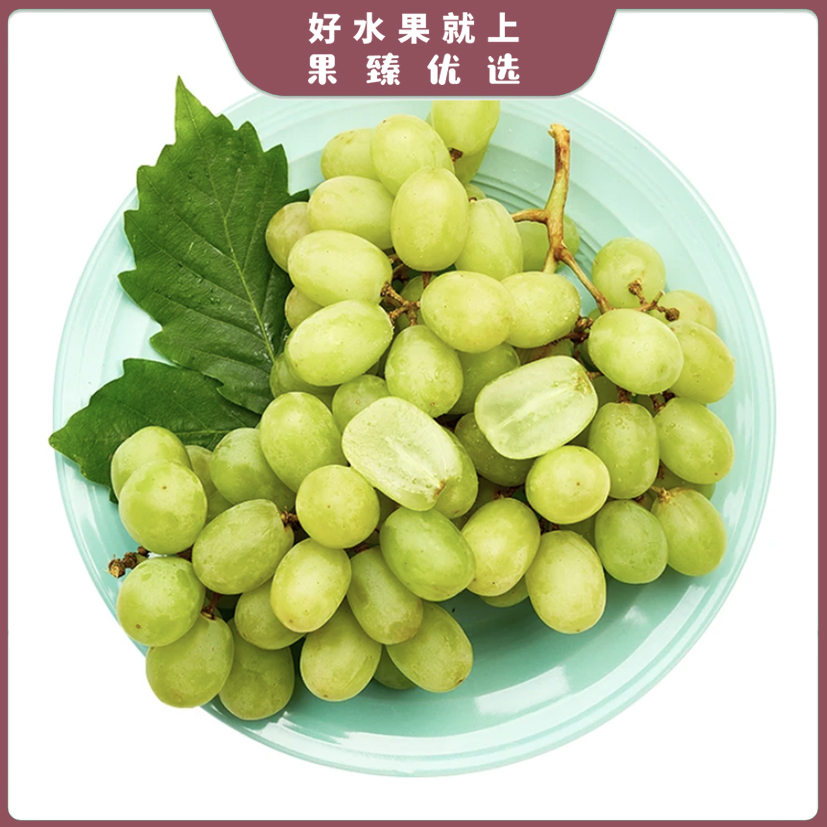 新疆无核青提 份/约750g新疆维吾尔自治区