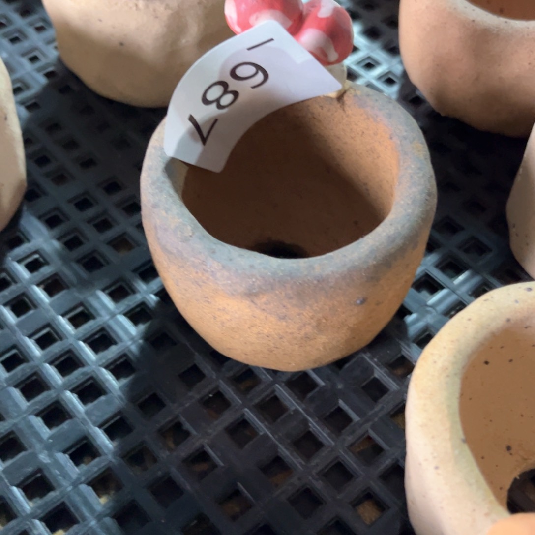 红陶687花盆  1个