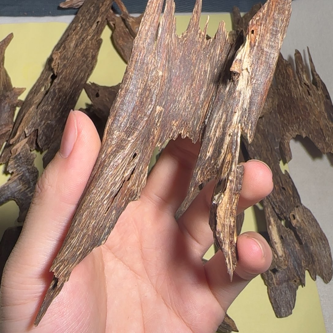 沉香沉香碎屑海南沉香尖峰岭老料13克