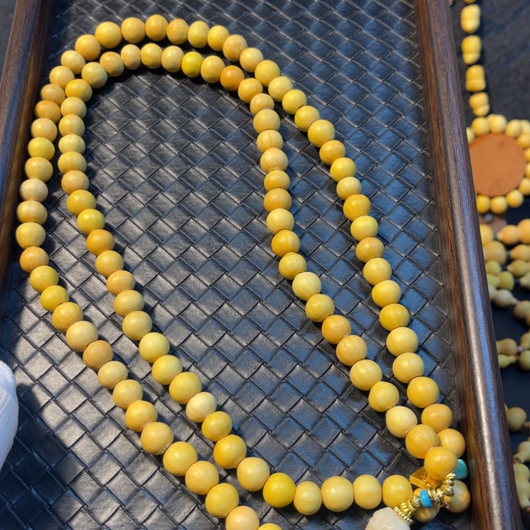 赵***7直播链接非诚勿扰