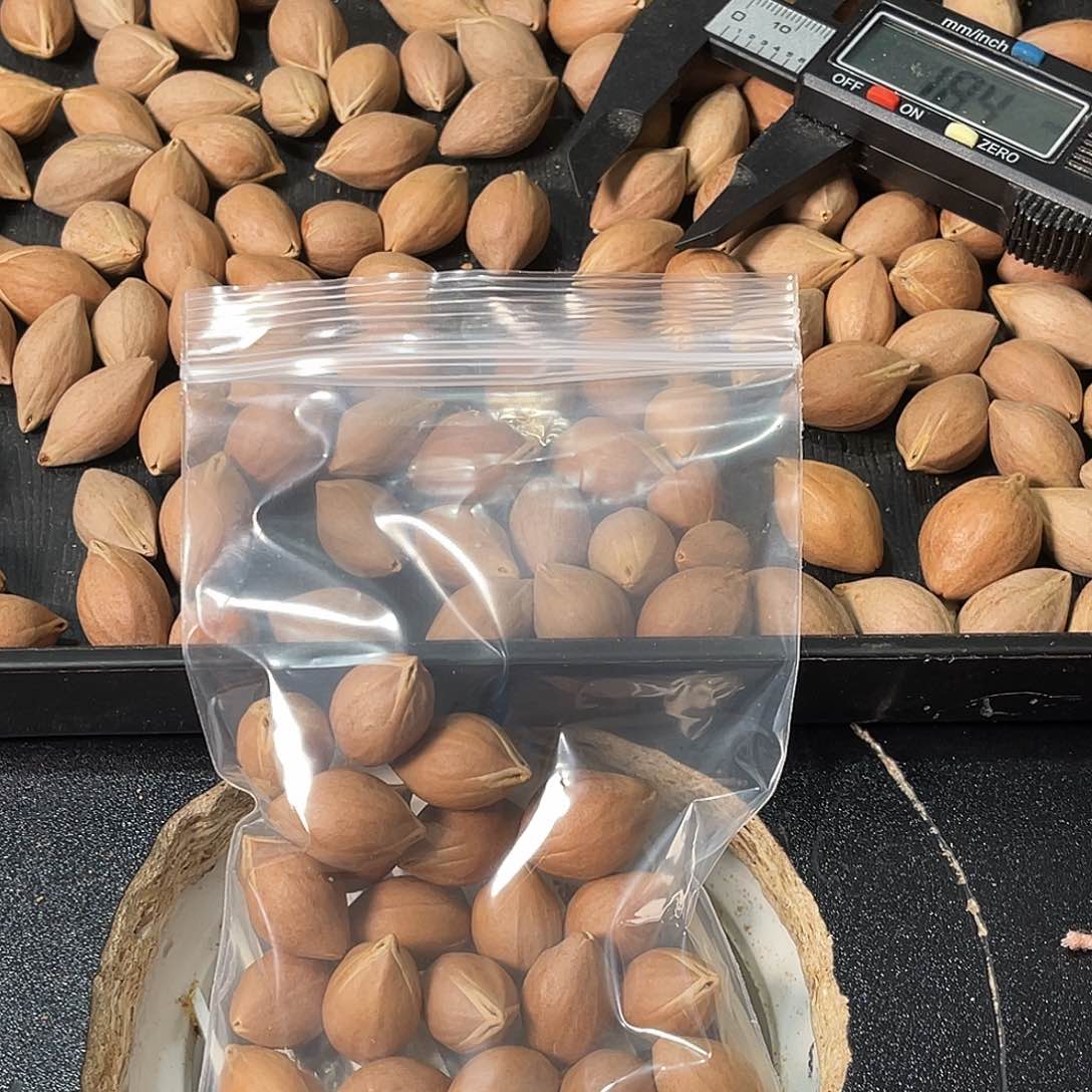 吊坠橄榄核山****司111111111111