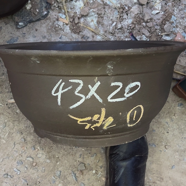 红陶紫砂艺术学院