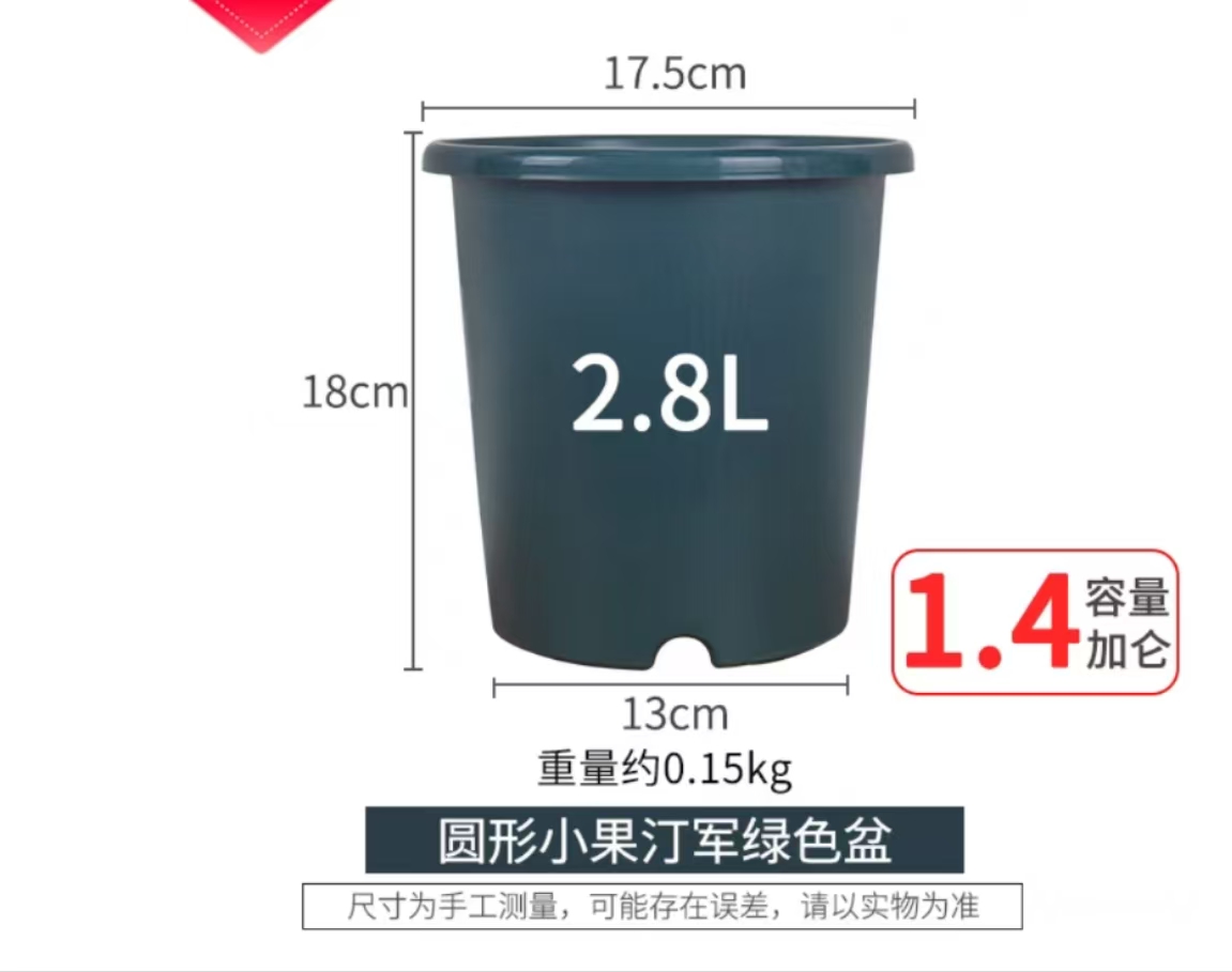 直播间专用小果汀1.5加月季花盆