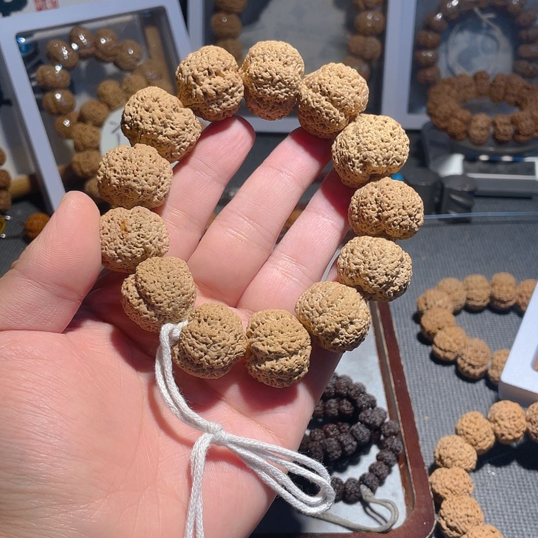 手串金刚菩提大**学菠萝蜜