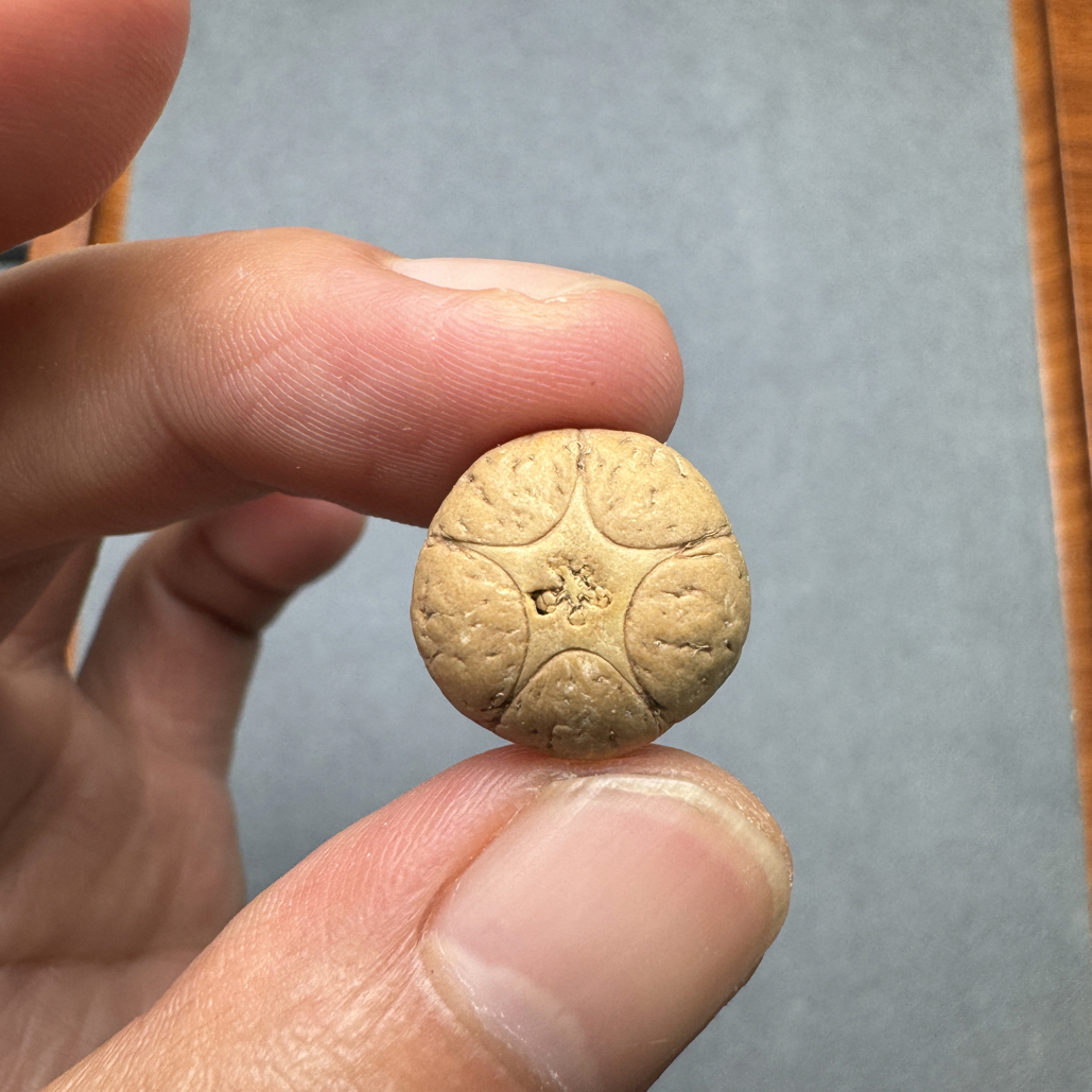 特价16+五星上将菩提凤眼菩提三通佛头，非质量问题开孔不退cj2500