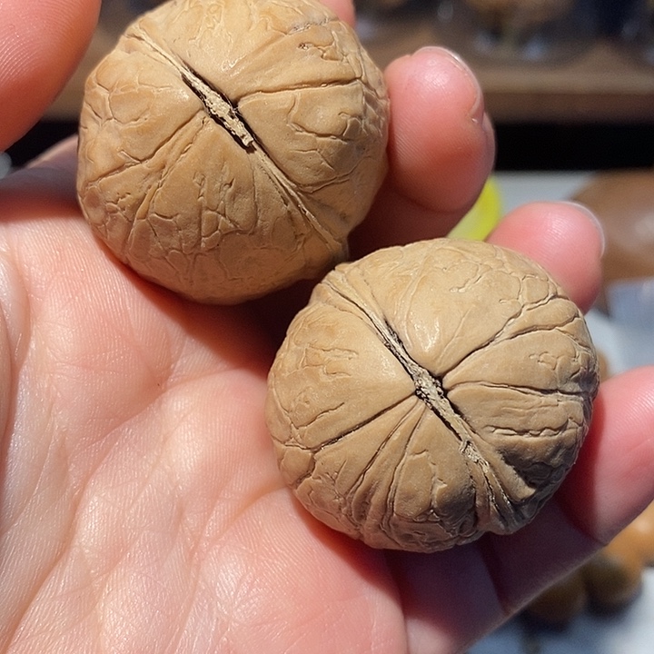 文玩核桃把件888878@iij