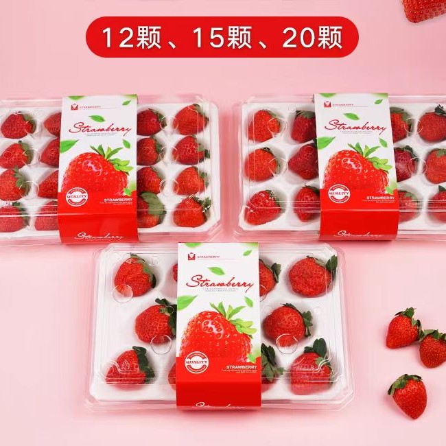 2盒（全国金奖九九草莓）上海本地特产头茬奶油草莓孕妇水果孕妇水果不甜包赔